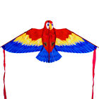  Parrot Kites  Cartoon Animal Kites Three-Dimensional Parrot  K5D3