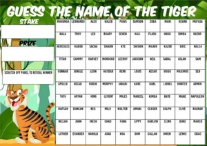 TIGER GUESS THE NAME OF Fundraising Scratchcard Charity Event 100 Players Teddy - Picture 1 of 2