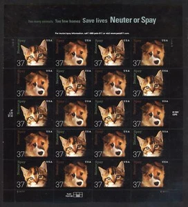 SCOTT 3670-71 2002 37 CENT NEUTER & SPAY ISSUE MNH SHEET VF CAT $20! - Picture 1 of 2