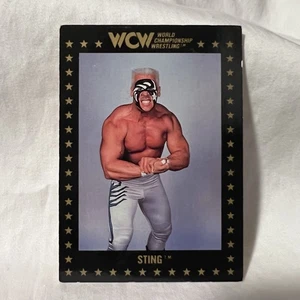 Memorabilia de lucha libre profesional Championship Marketing WCW #49 1991 Sting - Imagen 1 de 2