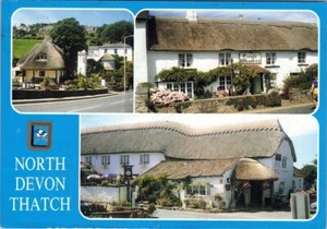 Postcard NORTH DEVON THATCH Croyde Cleavers Property Plant Building Sky AA07195 - Picture 1 of 2