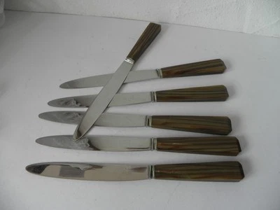 6 Menümesser Schneidemesser Vintage Horn? Kunststoffgriffe - Bild 1 von 3