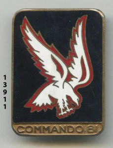 Abzeichen, Commando 81, (Plastifiziertes Modell) - Bild 1 von 1