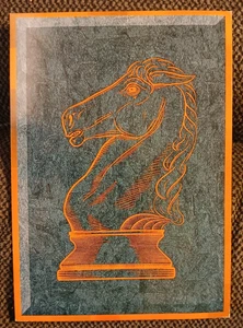 Lot of new chess postcards Ode to Knight by Daneil Seirawan 6 by 4 in, 11 cards - Bild 1 von 2