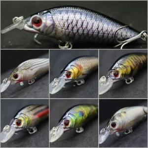 Minnow Jerkbait Señuelos de pesca wLure 3 1/5 pulgadas Pintura realista para bajo HM583 - Imagen 1 de 73