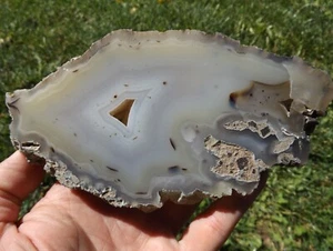 DIG-N-UTAH: POLISHED SLAB TOM MINER BASIN PETRIFIED WOOD DISPLAY RARE # L 517 - Picture 1 of 3