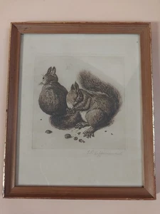 Original Radierung nach Dürer „Eichhörnchen“ v. E.P. Hoffmann - Bild 1 von 6