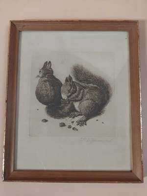 Original Radierung nach Dürer „Eichhörnchen“ v. E.P. Hoffmann - Bild 1 von 4