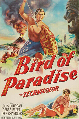 Bird Of Paradise DVD - Joel McCrea Dir. King Vidor Pre-Code Adventure Drama 1932 • 3.69€