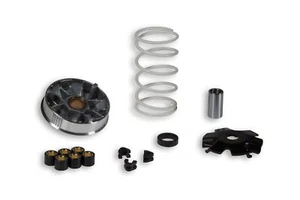 VARIATORE MALOSSI 517484 MULTIVAR PER KYMCO SNIPER 50 2T - Imagen 1 de 1