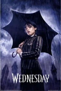 Impact Merch. Poster: Wednesday - Downpour - Reg Poster 610mm x 915mm #22 - Picture 1 of 1