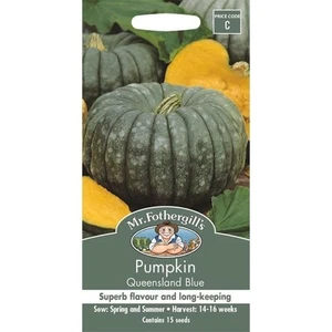 Mr Fothergill's Queensland Blue Pumpkin Vegetable Seeds - Picture 1 of 1