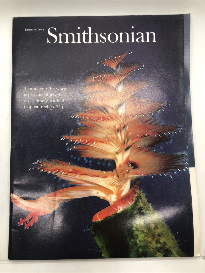 January 1981 Smithsonian Magazine ● Tentacled Tube Worm just one of Jewels Reef - Image 1 of 4