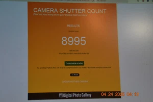 MINT NIKON D90 LOW SC 8995 SHOTS W/STRAP BODY CAP BATTERY AND SD CARD WORKS WELL - Picture 1 of 15