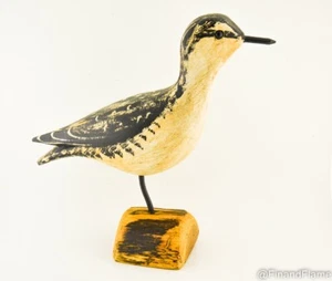 Jim Slack schöner Küstenvogel der Schwarzbauchregenpfeifer signiert vom Künstler HG247 - Bild 1 von 7