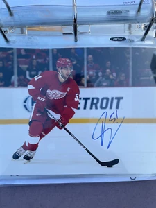 Frans Nielsen Signed Autographed Detroit Red Wings 8X10 Photo - Picture 1 of 1