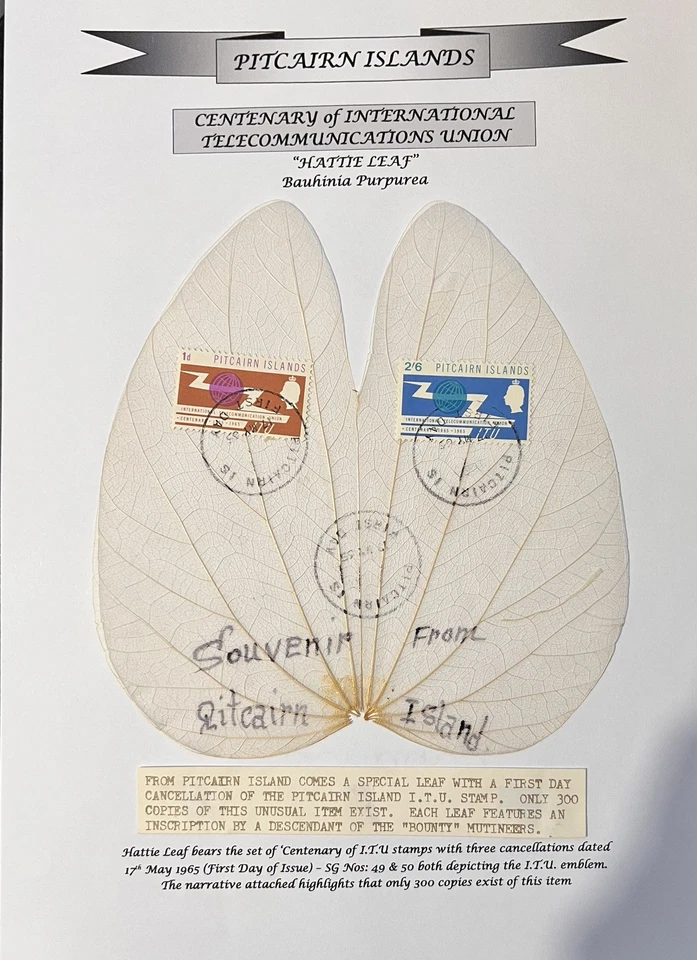 Pitcairn Island 1965 Special Leaf Posted First Day of Issue Ltd Ed of 300 - Image 1 of 1