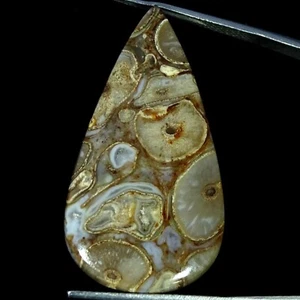 Natural Rock Calci Agate Pendant Supply Pear Cabochon 31.60 Cts 20X38X5MM - Picture 1 of 6
