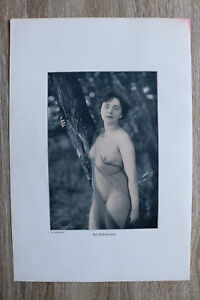 Jugendstil Kunst Blatt 1905 Erotik Frau AM BIRKENSTAMM Akt Nude Erotic Risque 