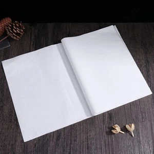 50 Fogli Carta di Riso Giapponese Calligrafia Esercizio Pratico - Foto 1 di 12