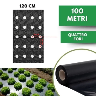DI GIULIO IRRIGAZIONE Telo PACCIAMATURA Polietilene Nero 100m 4 Fori 28x26 cm Larg. 120 cm Antierbacce
