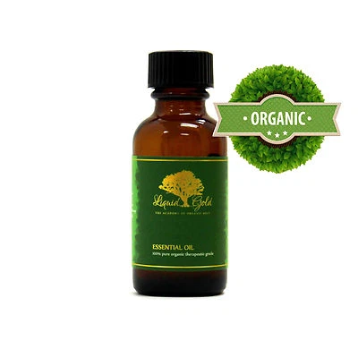 Premium Liquid Gold Camphor Essential Oil Pure Organic Natural Aromatherapy - Image 1 of 4