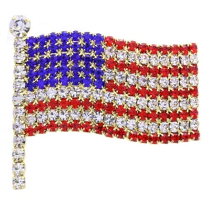 Patriotic Veteran's USA American Flag 4th of July Independence Day Pin Brooch - Picture 1 of 2
