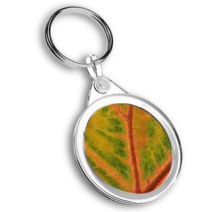 Cercle de porte-clés - Image macro feuille verte orange #45940