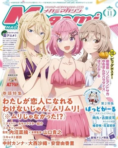Megami Magazine Nov 2025 Japan Bishoujo Anime Pinup Visual Girls Character Book - Picture 1 of 1