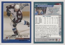 2003-04 O-Pee-Chee Blue /500 Martin Skoula #141