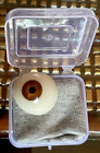 Dark Brown Artificial Eye Prosthetic Ocular Prosthesis Ocular With Safety Case