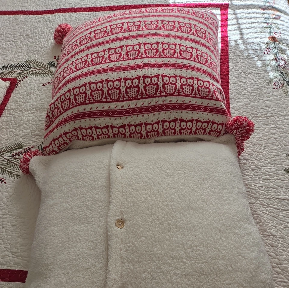 2 POTTERY BARN KIDS 针织猫头鹰鞋 EURO 红色 全新 SHERPA 反向 — 第 1/4 张图片