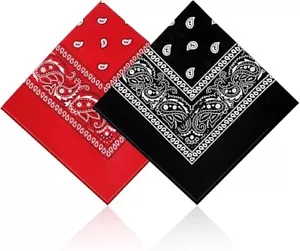 2pcs Bandana Cotton Paisley Print Scarf Head Wrap Neck Headband for Men & Women - Picture 1 of 12