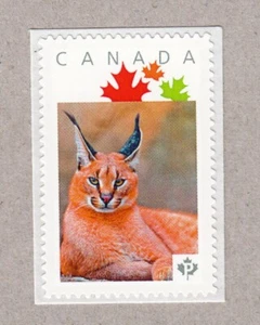 CARACAL, LYNX = WILD CATS = Picture Postage MNH stamp Canada 2016 [p16/05wc5/5] - Picture 1 of 2