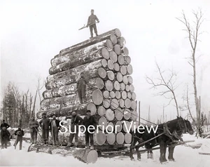 Récord mundial de carga de troncos foto de registro más vendida en Michigan subcampeón  - Imagen 1 de 1