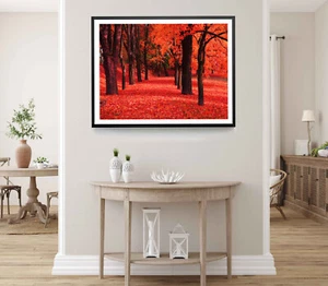 Autumn Trees Print, Forest Wall Art, Autumn Framed Nature Wall Art, Natural - Picture 1 of 5