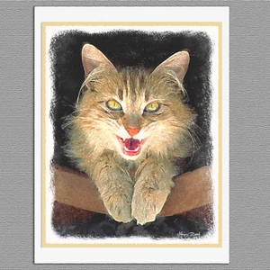 6 Mad Orange Tabby Cat Blank Art Note Greeting Cards - Picture 1 of 1