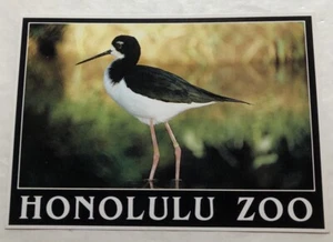The Honolulu Zoo At Waikiki Beach, Hawaii. Postcard (Q2) - Picture 1 of 2