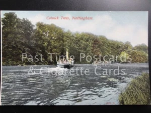 c1912 Nottinghamshire: Colwick Trees, Nottingham, showing Steam Boat - Picture 1 of 1