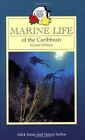Marine Life Of The Caribbean (Macmillan Caribbean Natural Histor