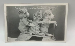 Look Out Everybody, Here We Come-Cute Kittens & Puppies-Postcard UNPOSTED - Picture 1 of 2