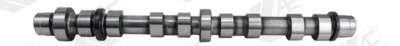 AE CAM945 Camshaft for CADILLAC,HOLDEN,OPEL,SAAB,VAUXHALL - Image 1 of 3