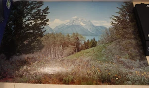 Vintage 1960s Photo Poster Plastic on Canvas Mountain Meadow Scene Eyelet Corner - Picture 1 of 2