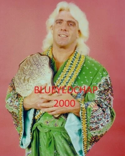 RIC FLAIR WRESTLER 8 X 10 WRESTLING PHOTO NWA WCW WWF - Image 1 of 1