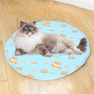Cooling Pet Mat with Innovative Design Keeps Your Pets Cool This Summer - Afbeelding 1 van 30