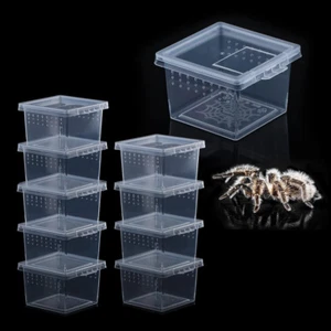 10 Pcs Insect Spider Terrariums Breeding Box Hatching Container (Small Size) - Picture 1 of 12