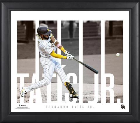 Fernando Tatis Jr. San Diego Padres Framed 15x17 Player Panel Collage Cover