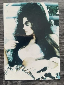 Julie Strain Queen of the B Movies Promo Card Comic Images USA Saddle Brook 1996 - Picture 1 of 2