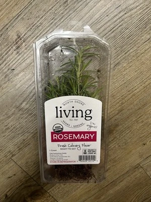 Rosemary Plant Live Plant 6” Ready To Plant - Image 1 of 4