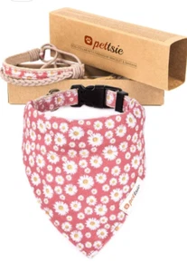 Hundehalsband mit Bandana Tuch und Freundschaftsarmband, Gr. M - Bild 1 von 5